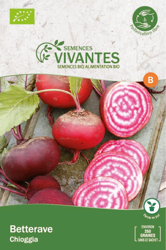 Semences Vivantes -- Betterave Chioggia Bio - sachet de 250 graines